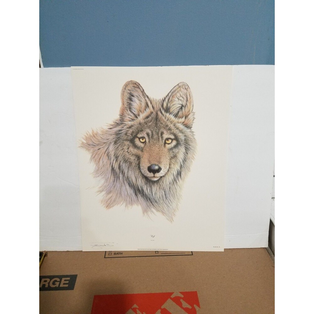 American Wildlife Artist Jim Oliver Signed /750 Wolf 16x20 Litho Art Print